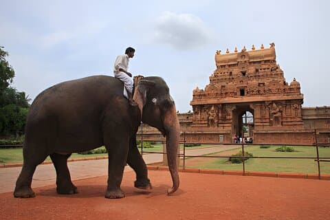 Madurai to Thanjavur - Trichy & Gangaikonda Cholapuram Day Trip