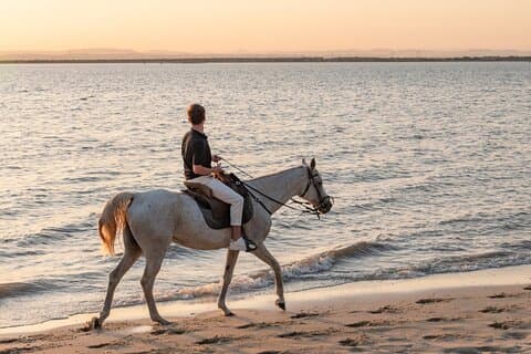 Almada Horse Walk on the Beach Taste Vins and Christ King