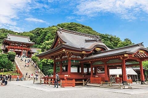 Kamakura, Enoshima & Kotoku-in Great Buddha from Tokyo (Private)
