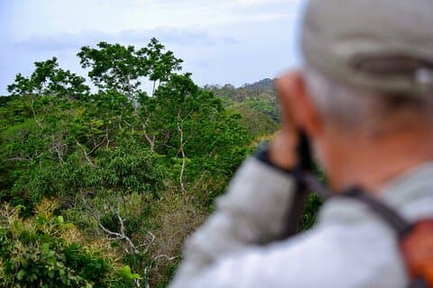 Sandakan Private City Tour, Orangutan, Sun Bears and Rainforest