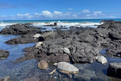 Haena Hike and Swim with Native Hawaiian