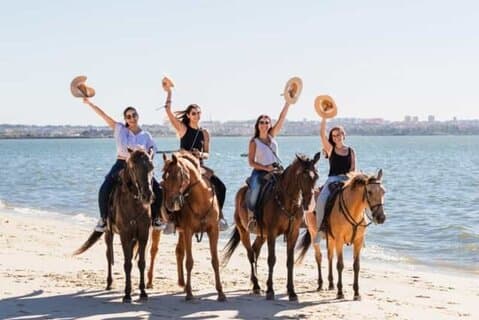 2 uur paardrijden bij Nabq Bay Beach en transfers – Sharm El Sheikh