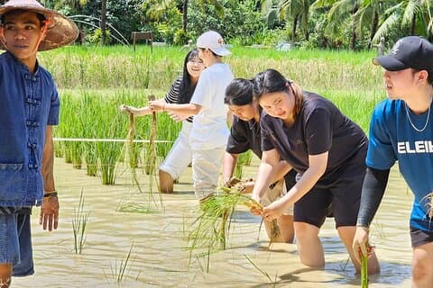 Excursión al patrimonio tradicional de Phuket