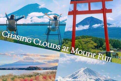 Från Tokyo Mt.Fuji, Kawaguchisjön, Makaino Farm dagstur