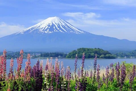 Excursión de un día al Monte Fuji Arakurayama Sengen e Instagrammable Lawson