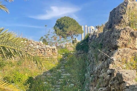 Dagtour: Byblos, Batroun, Harissa & Jeita Grotto