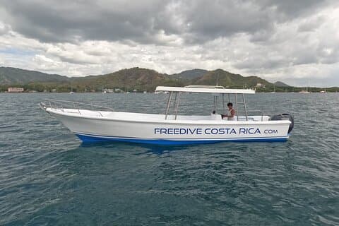 Custom Private Boat Tour med snorkling på Catalinas og mye mer