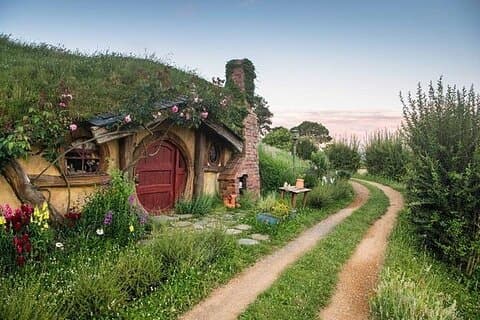 Private Tour ab Auckland Hobbiton Movie Set und Te Puia Magic