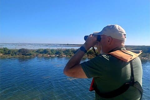 Short Nature Tour in Ria Formosa Natural Park
