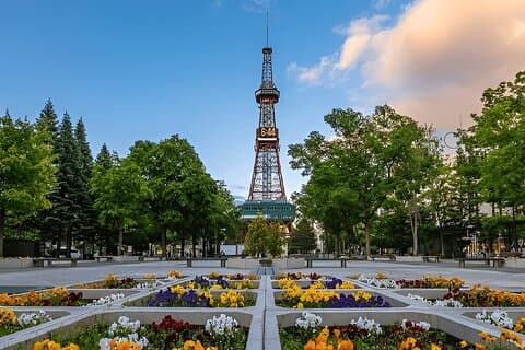 Tour privado por Sapporo City Discovery