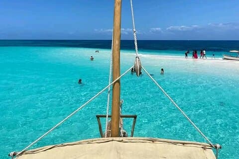 Private Half Day Dolphins and Snorkeling in Mnemba