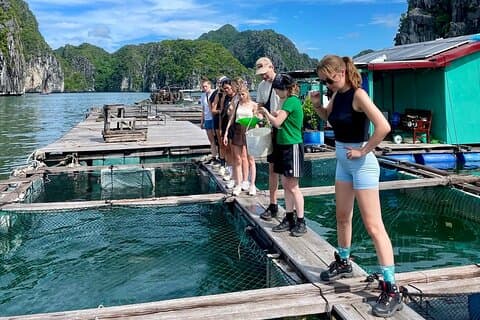 Hanoi: Cat Ba Island 2-Day with Night Kayak, Trekking & Biking