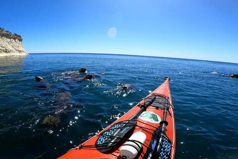 Kayak Paddling Experience with Sea Lions in Puerto Madryn