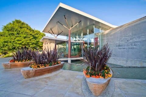 Private Full Day Auckland Sightseeing Tour with Piha Beach