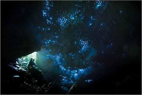 Ultimate Waitomo Glowworm Tour – Private, Tailored, After Dark