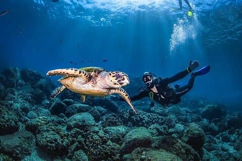 Duikcursus voor gevorderden in de Rode Zee – Sharm El Sheikh