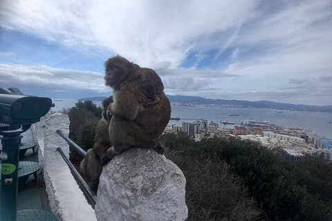 Privat tur til Gibraltar fra Jerez eller Cadiz med en offisiell guide