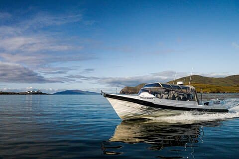 Valentia Island Experience
