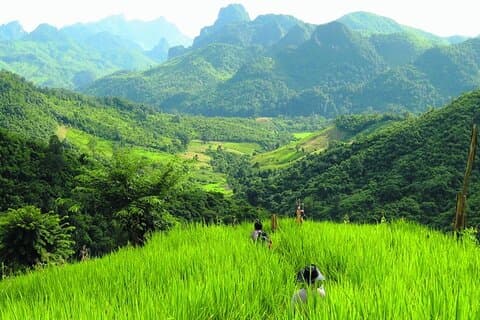 Luang Prabang Mountain, dorpen & Jungle Trekking Privétour