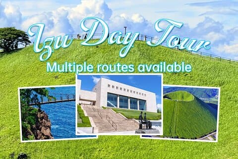 Da Tokyo: tour privato di un giorno a Izu