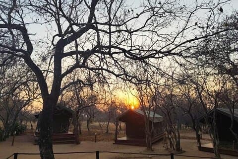 クルーガー国立公園6日間グランピングサファリ