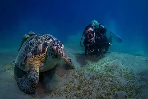 Excursión a Abu Dabbab Dugong Bay Marsa Alam