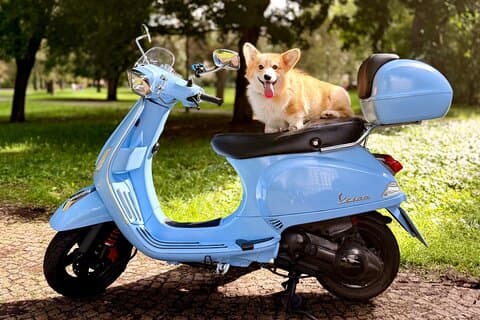 Local Vespa Location en Prague avec GPS Itinéraires et conseils