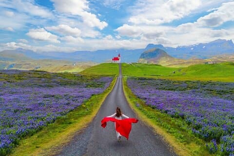 Island fra Reykjavik Snaefellsnes halvø dagstur