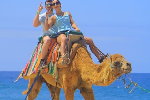 Camel Ride Beach Safari e degustação de tequila em Los Cabos