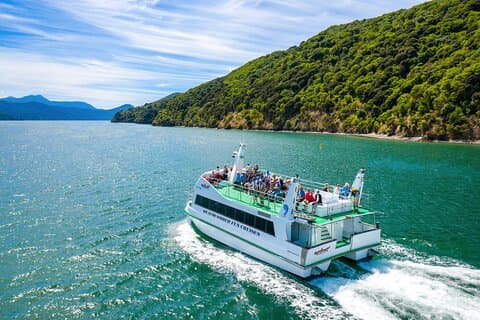 Picton Shore Excursion Queen Charlotte Sound Cruise