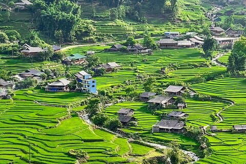 Descubre Sapa : Visita guiada por terrazas de arroz & pueblos locales