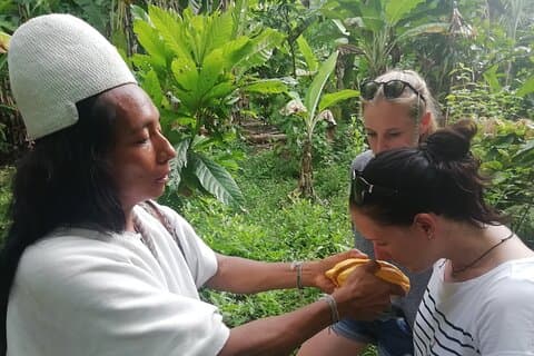 Private Cacao & Taironaka Tour on the Don Diego River
