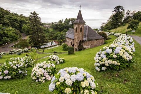 Descubre increíbles paisajes historia y cocina de Tucumán