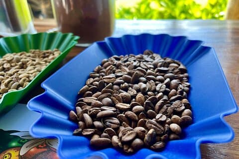 Café y Montañas con Experiencia Personal de Café