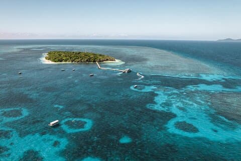 ケアンズ発ダイビングオプションでグリーン島を探検