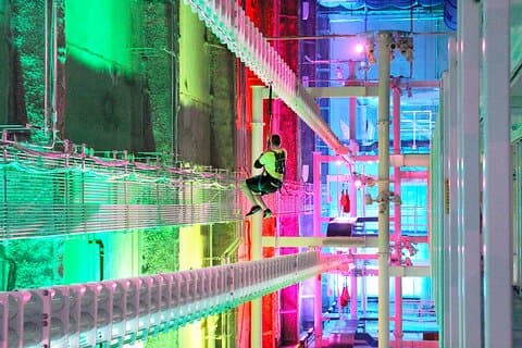 Nieuw Haven - It Zip It Adventure Indoor Ropes Course