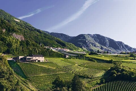 Private cellar tour and tasting at the Pfitscher Winery