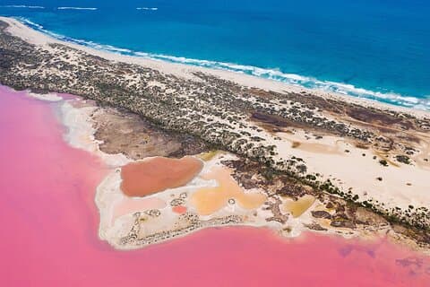 3D1N Pink Lake, Pinnacles & Stargazing, Rottnest Island Tour