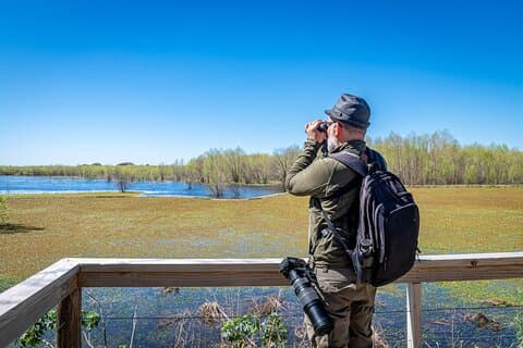 Birdwatching in Buenos Aires - South Coast Reserve