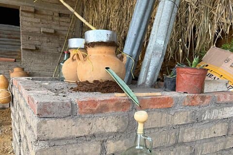 Ancestral Mezcal Tour Experience-A pre Hispanic Heritage