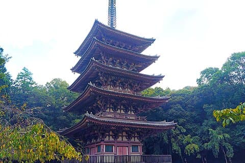 Kyoto : Daigo-ji tempel, skjult skat af historie og skønhed