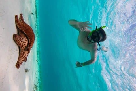 Cozumels krystalblå venter på dig