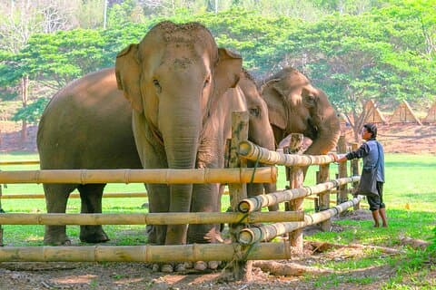 Hotell i nærheten av Chiang Mai Elephant Sanctuary and Sticky Waterfall