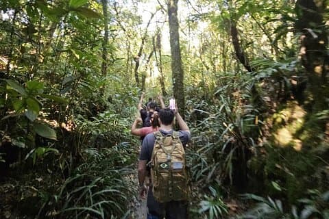 Ubud Country Side Jungle Trekking med hotelltransfer