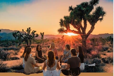 Soul Reconnection Retreat in de boom van Joshua