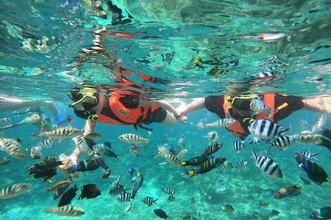 プーケット発バンブー島ミニバン小旅行