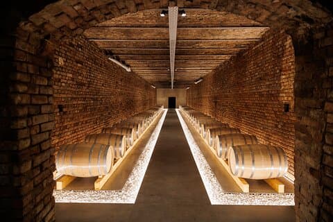 Wine tour and Wine tasting