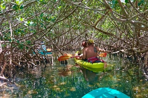 Key West Clear Kayak Eco Tour