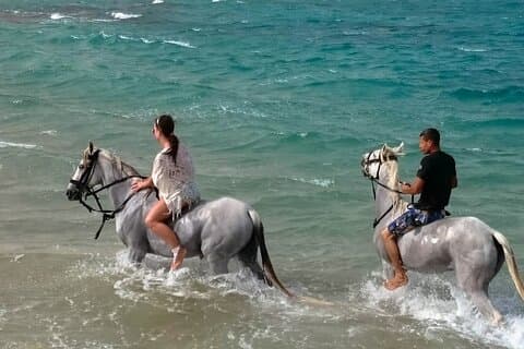 Horse Riding on the Desert and the Sea from Hurghada