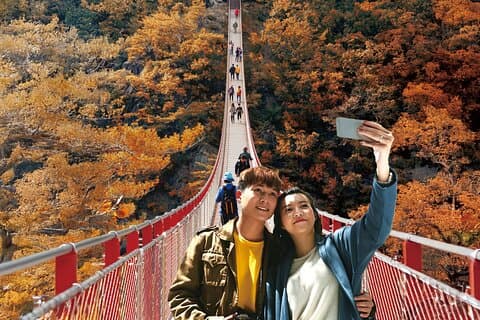 DMZ Tour fra Seoul: 3rd Tunnel, North Korea View, Suspension Bridge